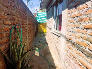 Imagen 13
