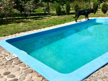 Imagen 11