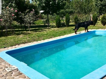 Imagen 15