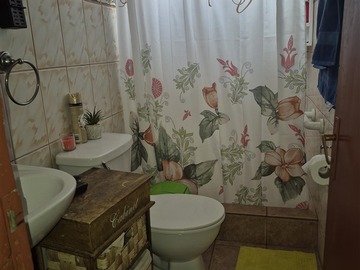 Imagen 7
