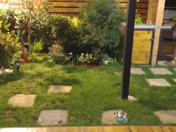 patio y quincho