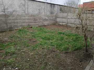 Imagen 20