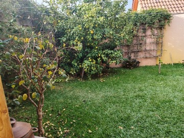 Imagen 14