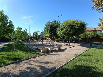 Imagen 15