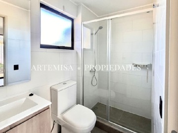 Imagen 7
