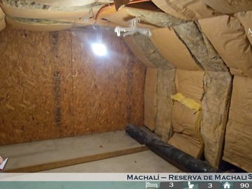 Imagen 21