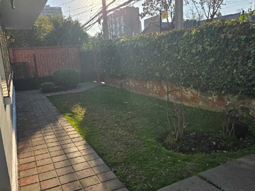 Imagen 23