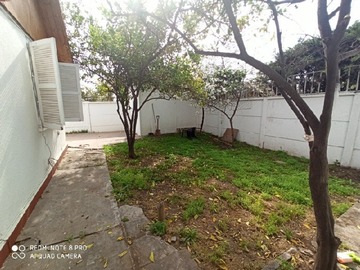Imagen 26