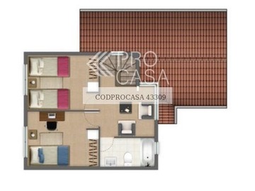 Imagen 6