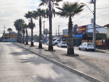 Imagen 20