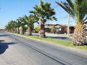 Imagen 8