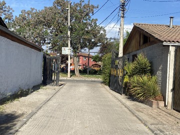 Imagen 13