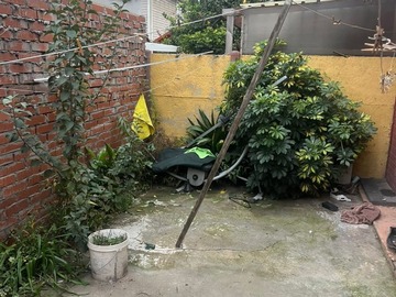 Imagen 28