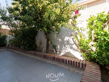 Imagen 26