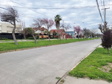 Imagen 31