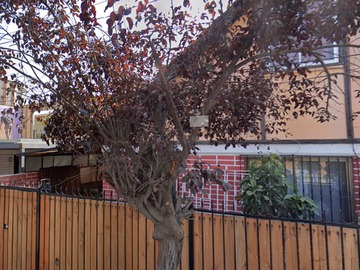 Arriendo Mensual / Casa / Maipú