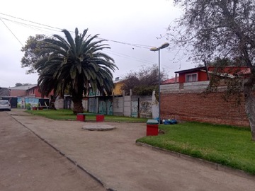 Imagen 6
