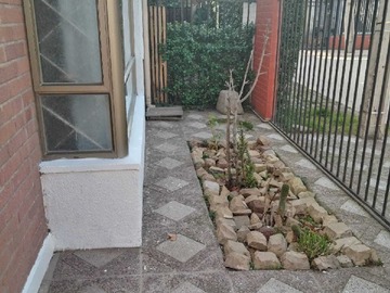 Imagen 11