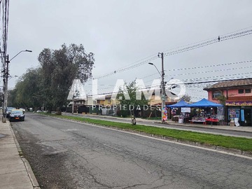 Imagen 20