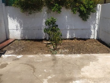 Imagen 9