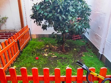 Imagen 10