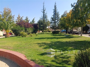 Imagen 22