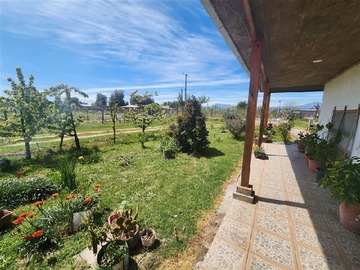 Imagen 25