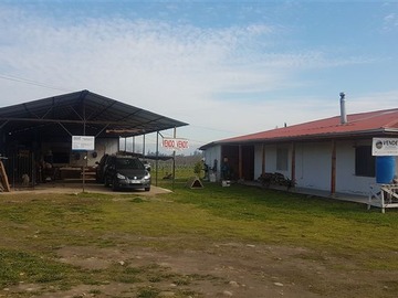 Imagen 15