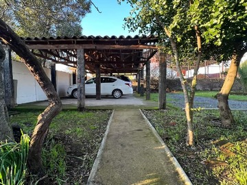 Imagen 6