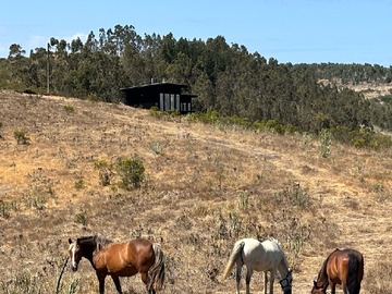 Imagen 13