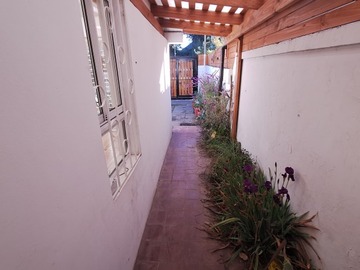 Imagen 22