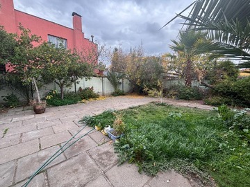 Imagen 23