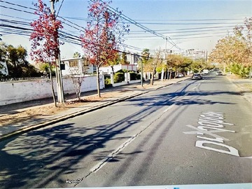 Imagen 13