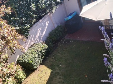Imagen 21