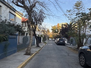 Imagen 22