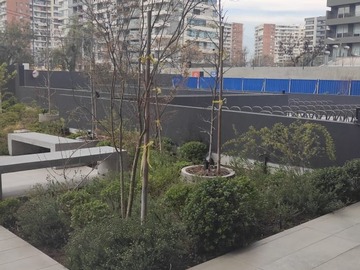 Imagen 9