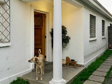 Imagen 22
