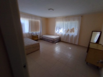 Imagen 15