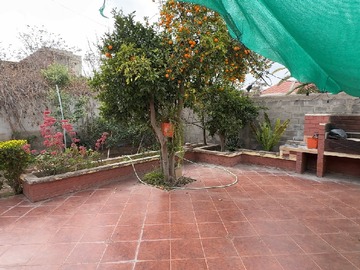 Imagen 18