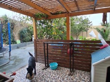 Imagen 29