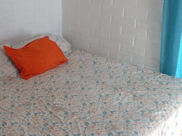 Imagen 11
