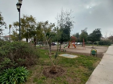 Imagen 17