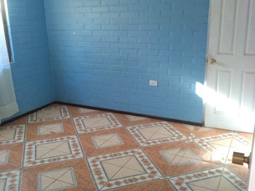 Imagen 5