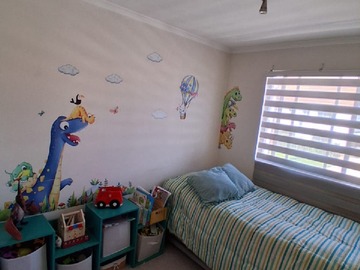 Imagen 6