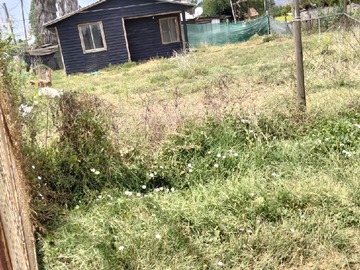 Arriendo Mensual / Casa / Paine