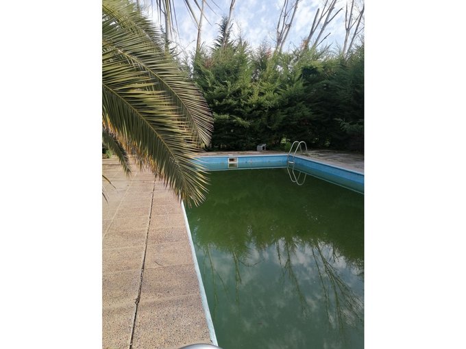 LA PISCINA EN EL PARQUE