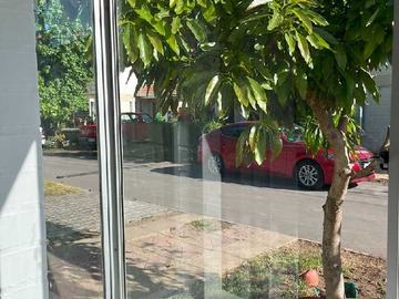 Imagen 5