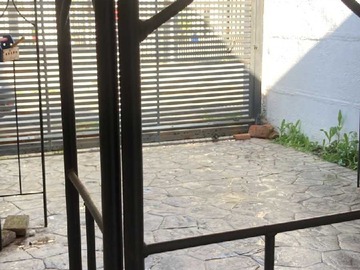 Imagen 14