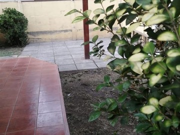 Imagen 13