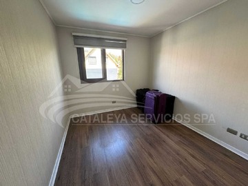 Imagen 21